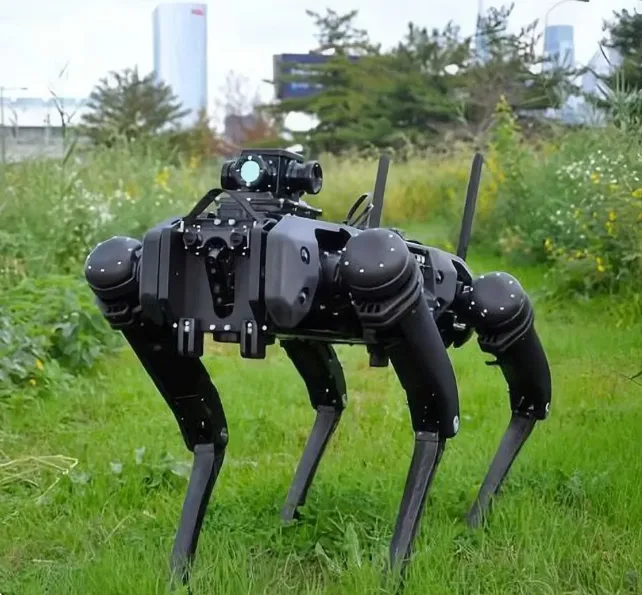 Um robô quadrupede em um gramado.